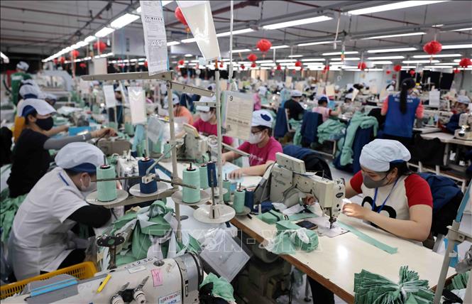 May hàng xuất khẩu sang thị trường Mỹ tại Công ty May Tiến Thuận, Ninh Thuận. Ảnh: Trần Việt - TTXVN