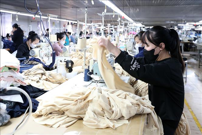 Công nhân may hàng xuất khẩu tại Công ty Việt Huy. Ảnh: Lê Đông – TTXVN
