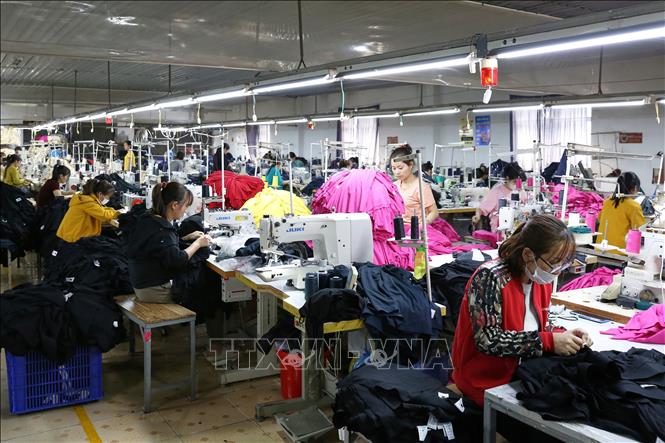 Công ty Việt Huy mỗi năm xuất khẩu 1 triệu sản phẩm sang các thị trường như EU, Mỹ, Nhật Bản và Hàn Quốc. Ảnh: Lê Đông – TTXVN