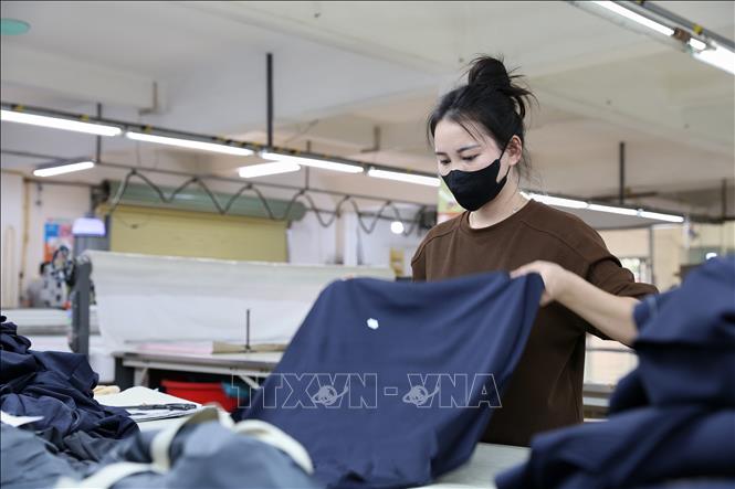 Dây chuyền sản xuất tại Công ty Việt Huy . Ảnh: Lê Đông – TTXVN