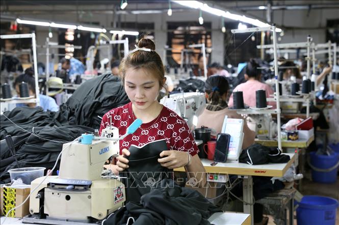Công ty Việt Huy mỗi năm xuất khẩu 1 triệu sản phẩm sang các thị trường  như EU, Mỹ, Nhật Bản và Hàn Quốc. Ảnh: Lê Đông – TTXVN