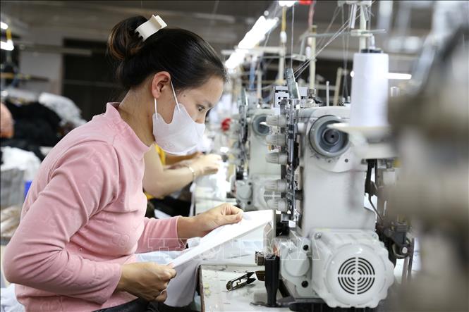 Dây chuyền sản xuất hàng may mặc xuất khẩu tại Công ty Việt Huy . Ảnh: Lê Đông – TTXVN