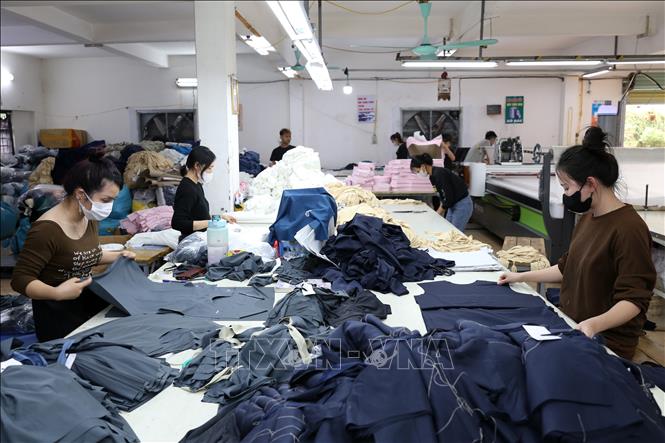 Công nhân may hàng xuất khẩu tại Công ty Việt Huy. Ảnh: Lê Đông – TTXVN