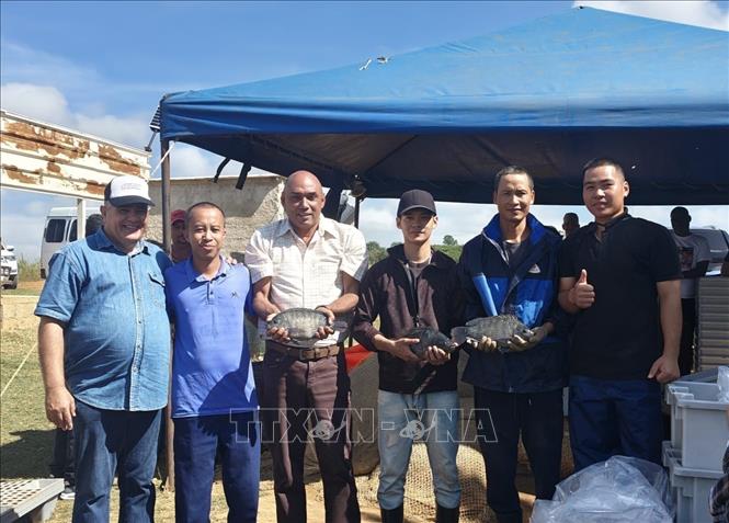 Cuban Minister of the Food Industry Alberto Lopez Diaz (3rd L) and Vietnamese experts. VNA/Photo by courtesy
