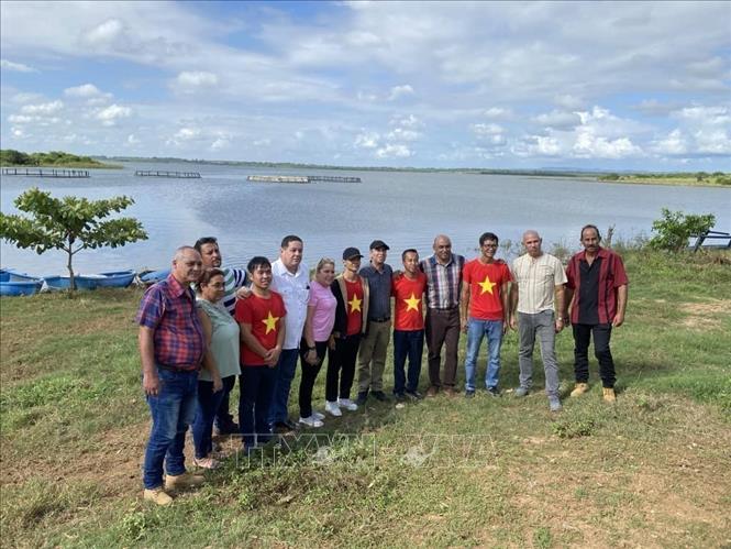 Vietnamese and Cuban experts in Palacios town. VNA/Photo by courtesy