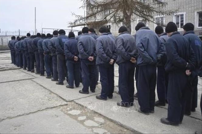 Ngày 19/3/2025, Bộ Quốc phòng Nga thông báo nước này đã tiến hành trao đổi tù binh với Ukraine, theo thỏa thuận được đưa ra trong cuộc điện đàm giữa Tổng thống Vladimir Putin và Tổng thống Mỹ Donald Trump. Theo Bộ Quốc phòng Nga, 175 binh sĩ Ukraine đã được trao đổi với 175 binh sĩ Nga. Ảnh (tư liệu): Các tù binh Nga tại trại tập trung ở miền Tây Ukraine. Kyodo/TTXVN