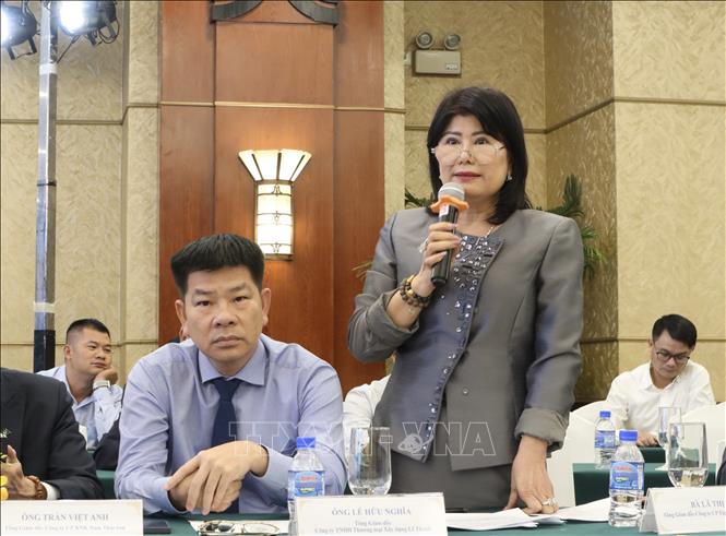 Bà Lã Thị Lan, Tổng Giám đốc Tập đoàn Đầu tư Tiến Lộc nêu kiến nghị tại hội thảo. Ảnh: Xuân Anh - TTXVN