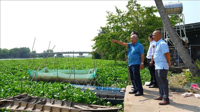 Kiểm tra công tác xử lý lục bình tại khu vực cầu Bến Sỏi (xã  Trí Bình, huyện Châu Thành) nơi lục bình thường xuyên ùn ứ do người dân cắm cọc giữ lục bình để nuôi cá, gây cản trở dòng chảy. Ảnh: Minh Phú – TTXVN 