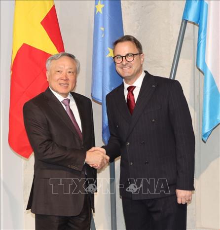 Deputy PM Nguyen Hoa Binh meets with Luxembourg Deputy PM and Minister for Foreign Affairs and Foreign Trade Xavier Bettel. VNA Photo: Hương Giang 