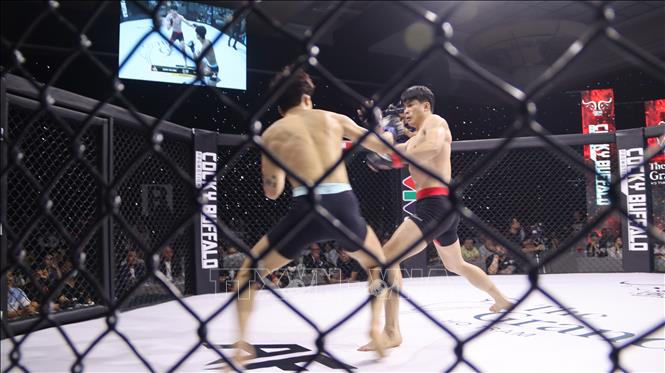 Trận đấu giữa võ sĩ Quàng Văn Minh (Việt Nam) và võ sĩ Park Yeong Jun (Hàn Quốc). Ảnh: Huỳnh Sơn-TTXVN