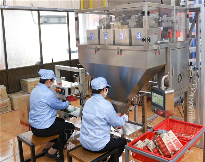 Năm 2025, giá trị sản xuất bình quân đầu người đạt 229 triệu đồng, tăng 1,8 lần so với năm 2020; Tổng thu ngân sách nhà nước đạt hơn 11.309 tỷ đồng, tăng gấp 1,44 lần so với nhiệm kỳ trước. Ảnh: Thanh Tùng - TTXVN