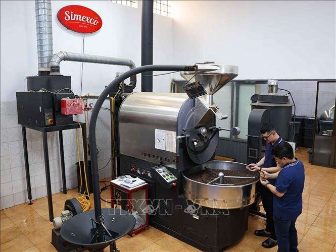 Chế biến cà phê tại nhà máy Simexco Tân Hòa, thành phố Buôn Ma Thuột. Ảnh: Thanh Tùng - TTXVN 