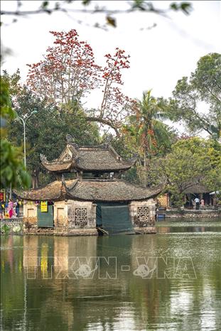  Sắc đỏ của cây gạo cổ thụ nở rộ tạo một điểm nhấn cho Chùa Thầy vào mỗi dịp tháng Ba hằng năm. Ảnh: Khánh Hoà – TTXVN 
