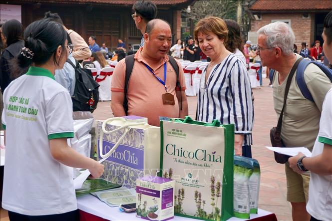 The exhibition attracts international visitors. VNA Photo