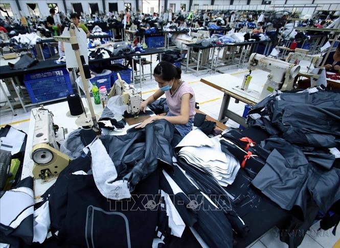 Việt Nam xuất khẩu sang Brazil chủ yếu là thủy sản, cao su, dệt may, giày dép, sắt thép... Trong ảnh: Sản xuất các mặt hàng may mặc xuất khẩu tại Công ty TNHH Kydo Việt Nam có vốn đầu tư Hàn Quốc (Khu Công nghiệp Phố nối A, Hưng Yên). Ảnh: Phạm Kiên - TTXVN