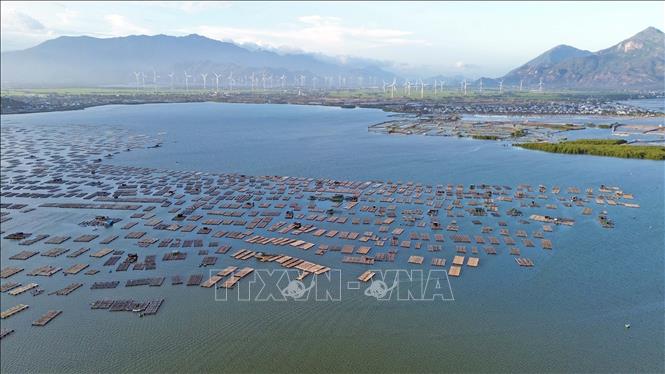 Nuôi trồng thủy sản, một trong những thế mạnh phát triển kinh tế của tỉnh Ninh Thuận. Ảnh: Trần Việt - TTXVN