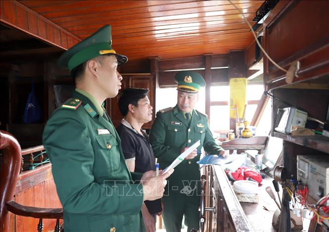 The border guard force check the VMS on fishing boats. VNA Photo: Văn Tý