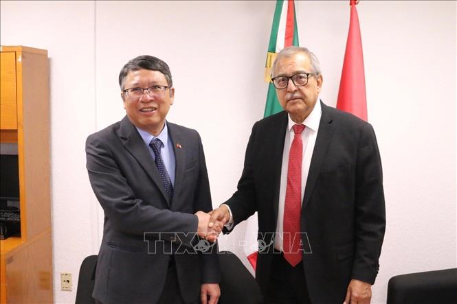 Pedro Vázquez González, Chairman of the Foreign Affairs Committee of the Chamber of Deputies of Mexico, receives Vietnamese Ambassador to Mexico Nguyen Van Hai. VNA Photo