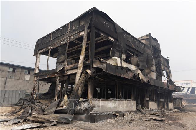 Tòa nhà bị thiêu rụi do cháy rừng tại Andong, tỉnh Gyeongsang Bắc, Hàn Quốc. Ảnh: THX/TTXVN