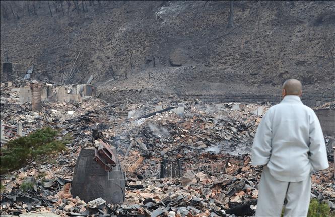 Ngôi đền cổ bị thiêu rụi do cháy rừng tại Uiseong, tỉnh Gyeongsang Bắc, Hàn Quốc. Ảnh: THX/TTXVN