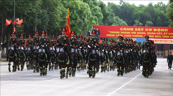 Hơn 60 ngựa nghiệp vụ cùng 100 cán bộ, chiến sĩ đã di chuyển từ Thái Nguyên vào Thành phố Hồ Chí Minh để tham gia huấn luyện, chuẩn bị cho lễ kỷ niệm 50 năm thống nhất đất nước. Ảnh: Lê Xuân-TTXVN