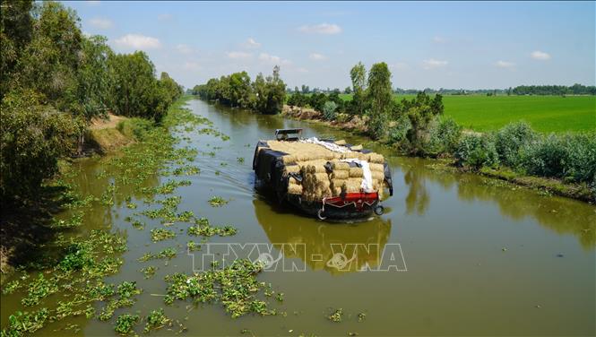 Thanh Loi commune is the 