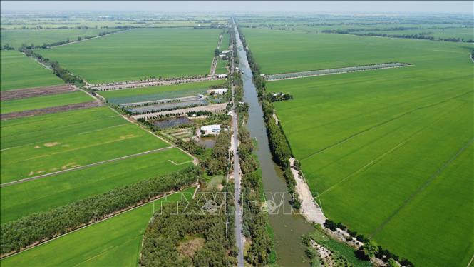 The canals not only help wash away alum but also are dikes and roads, contributing to Thap Muoi district development. VNA Photo: Nhựt An