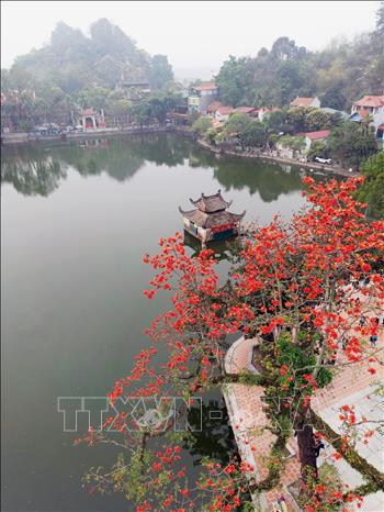 Thay Pagoda's poetic beauty during the full bloom of red silk cotton flowers. VNA Photo: Khánh Hoà 
