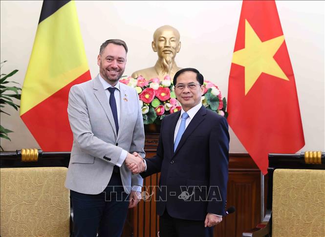 Deputy Prime Minister and Minister of Foreign Affairs Bui Thanh Son and Deputy Prime Minister and Minister of Foreign Affairs, European Affairs and Development Cooperation of Belgium Maxime Prévot. VNA Photo: An Đăng