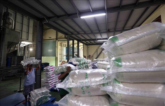 Công ty TNHH Vinh Hiển, cụm công nghiệp Gia Thuận 1, huyện Gò Công Đông, mỗi năm chế biến khoảng 24.000 tấn sản phẩm gạo phục vụ thị trường trong nước và xuất khẩu. Ảnh: Vũ Sinh – TTXVN