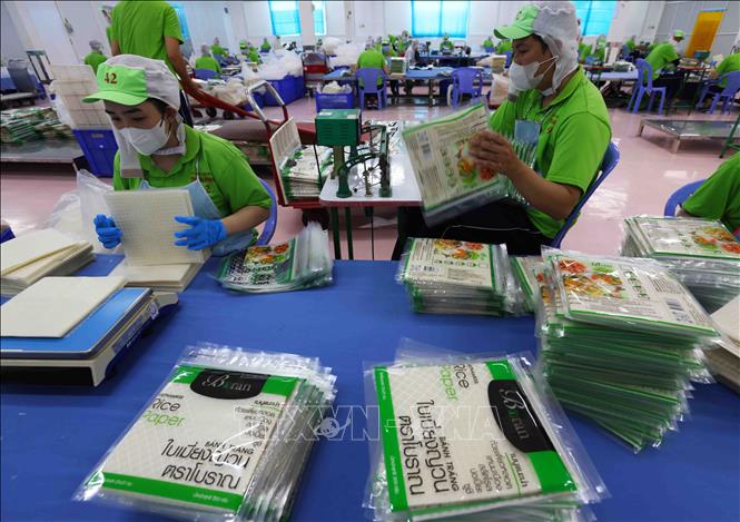 Đóng gói sản phẩm bánh tráng xuất khẩu ở nhà máy của Công ty TNHH Sản xuất, chế biến nông sản xuất khẩu Thuận Phong, khu công nghiệp Mỹ Tho, thành phố Mỹ Tho, tỉnh Tiền Giang. Ảnh: Vũ Sinh – TTXVN
