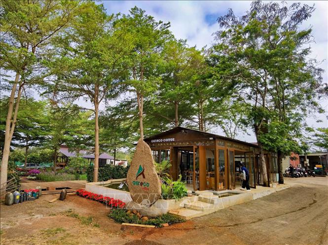 Một trong những nông trại của Công ty đang là điểm đến hấp dẫn du khách trong và ngoài nước. Ảnh: Thanh Tùng - TTXVN 