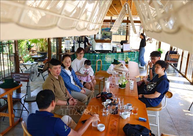 Tour giới thiệu các giống cà phê đặc sản của Đắk Lắk luôn được du khách quan tâm. Ảnh: Thanh Tùng - TTXVN