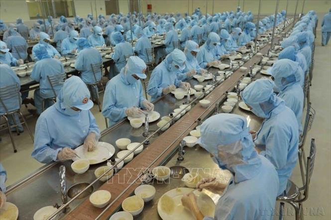 Phân loại, làm sạch sản phẩm tổ yến tại nhà máy của Công ty Yến sào Khánh Hoà (thành phố Nha Trang, tỉnh Khánh Hoà). Ảnh: Vũ Sinh - TTXVN