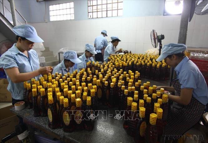 Đóng gói sản phẩm nước mắm thương hiệu 
