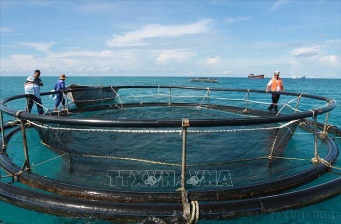 Tỉnh Khánh Hòa có vị thế địa - chiến lược quan trọng, nơi có huyện đảo Trường Sa, quân cảng Cam Ranh, cảng biển nước sâu trung chuyển quốc tế Vân Phong,…Trong ảnh: Dự án nuôi cá lồng trên biển ở đảo Đá Tây thuộc quần đảo Trường Sa (Khánh Hòa) mang lại hiệu quả kinh tế cao. Ảnh: Nguyễn Thủy - TTXVN