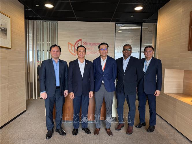 Vietnamese Trade Counselor in Singapore Cao Xuan Thang and representatives from the Singapore Food Agency. VNA Photo