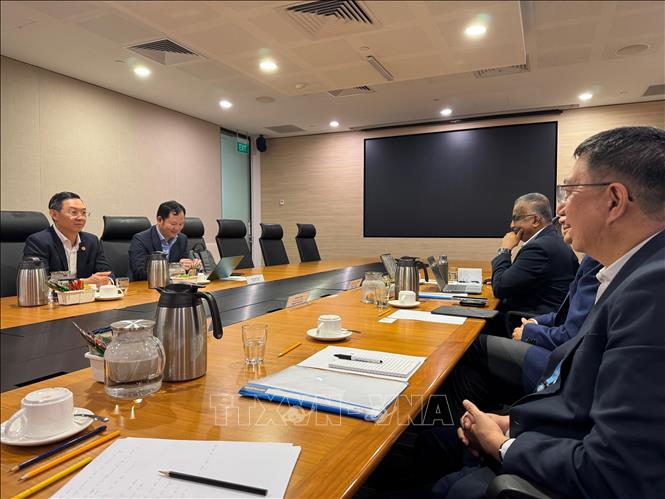 Vietnamese Trade Counselor in Singapore Cao Xuan Thang and Vietnamese Ambassador Tran Phuoc Anh at a meeting with the Singapore Food Agency. VNA Photo