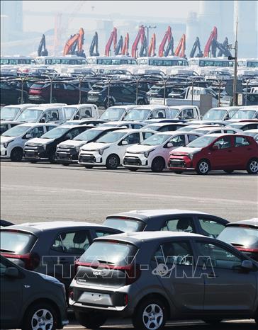 Ô tô chờ được đưa đi xuất khẩu tại cảng ở Pyeongtaek, Hàn Quốc. Ảnh: Yonhap/TTXVN