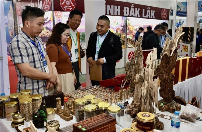 Visitors at the exhibition. VNA Photo: Trần Việt