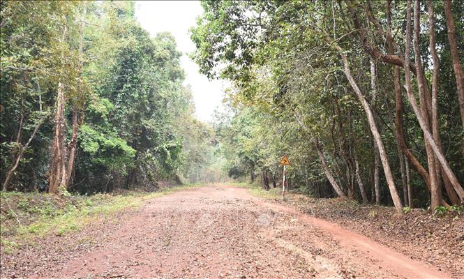 Đoạn đường sỏi đỏ từ cầu Mã Đà (đã bị đánh sập) thuộc địa phận tỉnh Đồng Nai. Ảnh: Công Phong - TTXVN