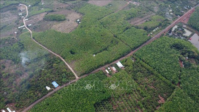 Dự kiến hướng tuyến kết nối Đồng Nai và Bình Phước sẽ đi theo tuyến đường ĐT 753. Ảnh: Công Phong - TTXVN