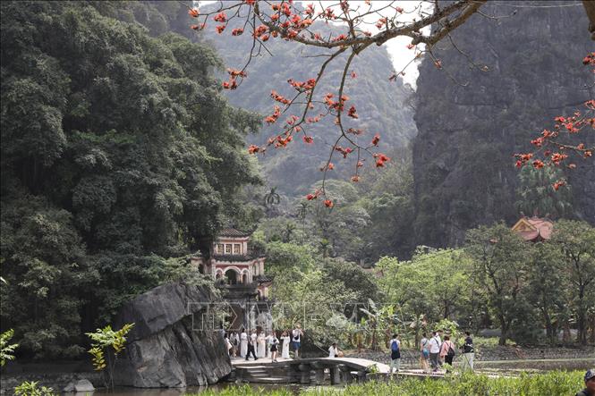 Cây hoa gạo nổi bật giữa không gian núi non hùng vĩ bên ngôi chùa cổ 600 năm tuổi thuộc Khu du lịch Tam Cốc - Bích Động. Ảnh: Đức Phương - TTXVN