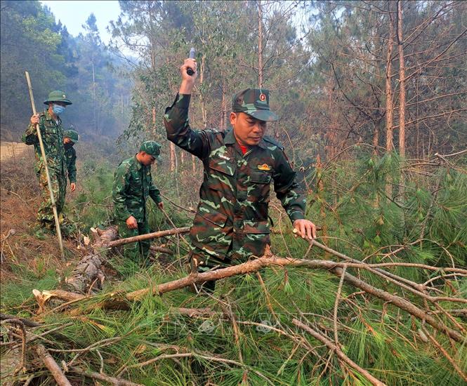 Lực lượng chức năng và người dân chặt, phát cây tạo đường băng cản lửa để khống chế đám cháy. Ảnh: Đức Thọ - TTXVN