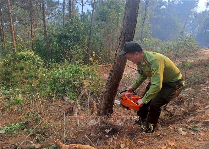 Lực lượng chức năng và người dân chặt, phát cây tạo đường băng cản lửa để khống chế đám cháy. Ảnh: Đức Thọ - TTXVN