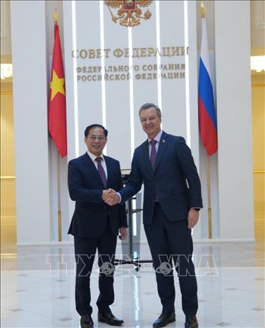 Phó Thủ tướng Chính phủ, Bộ trưởng Ngoại giao Bùi Thanh Sơn (bên trái) và Phó Chủ tịch Hội đồng LB Nga (Thượng viện) Andrey Yatskin. Ảnh: Quang Vinh - PV TTXVN tại Nga