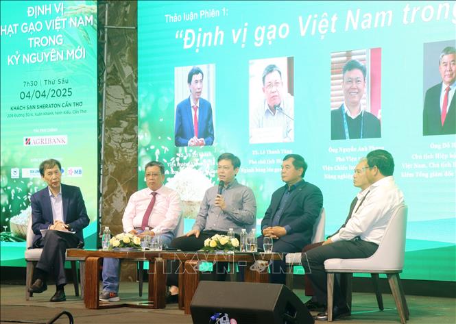Các chuyên gia trao đổi, thảo luận giải pháp định vị hạt gạo Việt trong kỷ nguyên mới. Ảnh: Thu Hiền - TTXVN