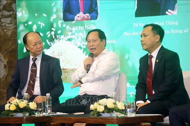 Ông Trần Quốc Hà, Quyền Giám đốc Ngân hàng Nhà nước khu vực 14, thông tin về chính sách cho vay xuất khẩu gạo. Ảnh: Thu Hiền - TTXVN