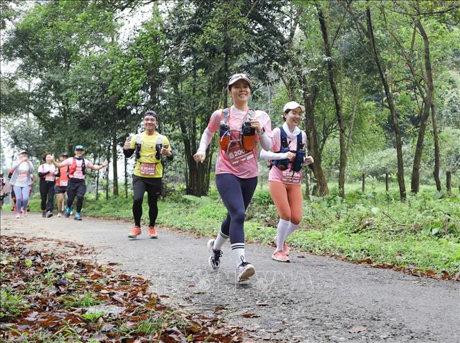 Các vận động viên có cơ hội trải nghiệm các cung đường xuyên lõi rừng của địa hình rừng mưa nhiệt đới trên núi đá vôi. Ảnh: Thùy Dung - TTXVN