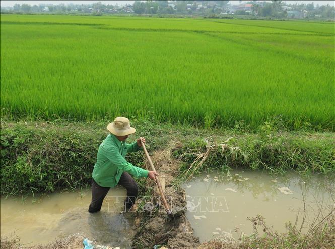 Người dân canh tác khu vực ngoại ô thành phố Kon Tum đắp bờ tận dụng nước đưa vào ruộng lúa. Ảnh: Dư Toán – TTXVN